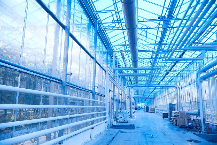 blue greenhouse with plants